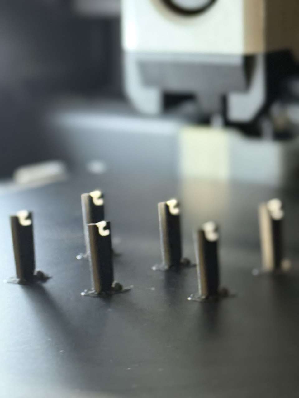 photo_2025-12-13_15-31-23